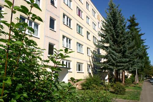 Foto - Wohnung zum Mieten in Zeitz 330,00 € 50 m²