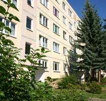 Wohnung zum Mieten in Zeitz 330,00 € 50 m²