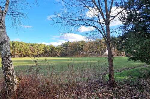 Foto - Grundstück zu verkaufen in Märkische Heide (OT Hohenbrück-Neu Schadow) 80.000,00 € 8400 m²