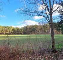 Grundstück zu verkaufen in Märkische Heide (OT Hohenbrück-Neu Schadow) 80.000,00 € 8400 m²