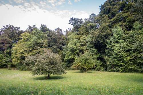 Foto - Grundstück zu verkaufen in Wandlitz 240.000,00 € 619 m²