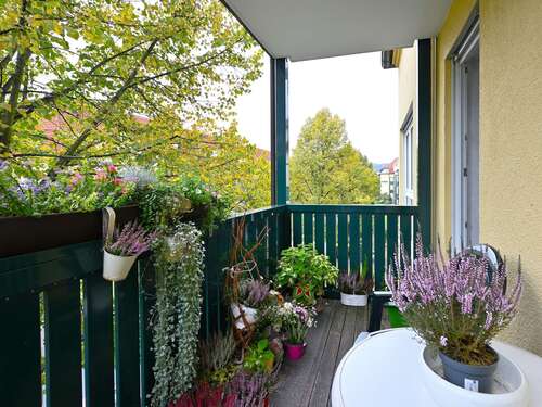 Foto - Wohnung zum Kaufen in Dresden 136.000,00 € 57.02 m²