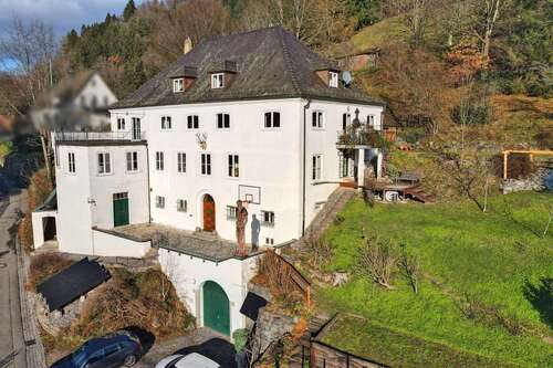 Foto - Haus zum Kaufen in Wolfach 895.000,00 € 547 m²