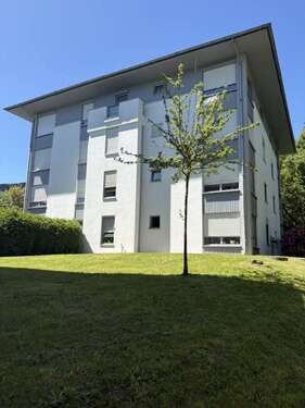 Foto - Wohnung zum Mieten in Zwickau 352,00 € 44 m²