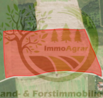 Grundstück in Hemhausen 133.544,00 € 44180 m²