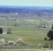 Wohnung zum Kaufen in Neustadt 348.000,00 € 106.06 m²