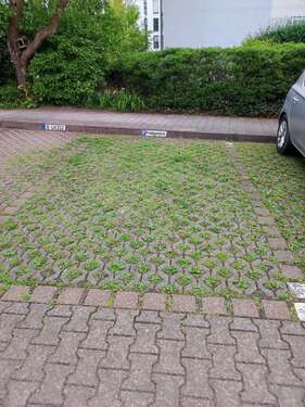 Foto - Garage zu vermieten in Potsdam 60,00 €