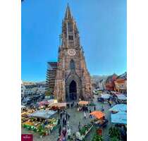Wohnung zum Mieten in Freiburg im Breisgau 1.750,00 € 151 m²