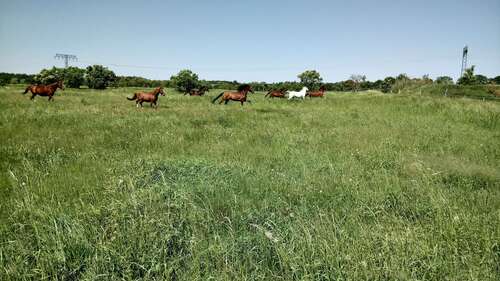 Foto - Grundstück zu verkaufen in Nuthetal 195.000,00 € 647 m²