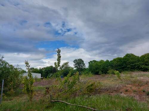 Foto - Grundstück zu verkaufen in Bremen 699.000,00 € 1740 m²