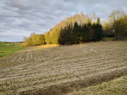 Foto - Grundstück in Pfeffenhausen 160.000,00 € 16866 m²