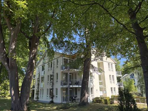 Foto - Wohnung zum Kaufen in Heringsdorf 299.000,00 € 44.78 m²