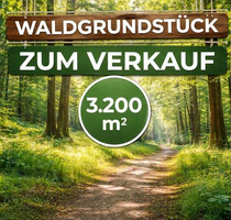 Grundstück in Würzburg 24.900,00 € 3200 m² Grundstück in Würzburg 24.900,00 € 3200 m²