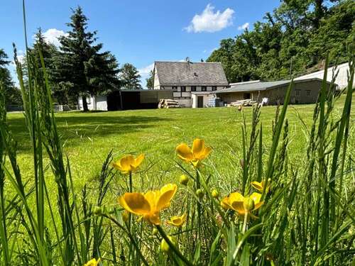 Foto - Haus zum Kaufen in Colditz 163.000,00 € 138 m²