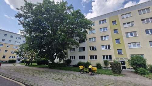 Foto - Wohnung zum Mieten in Magdeburg 330,00 € 45 m²
