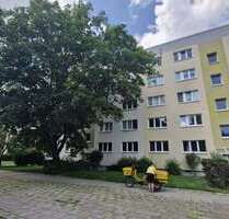 Wohnung zum Mieten in Magdeburg 330,00 € 45 m²