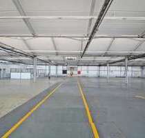 Halle in Neukirch 10.800,00 € 2400 m²