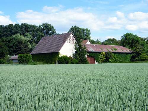 Foto - Haus zum Kaufen in Pfungstadt 999.000,00 € 196 m²