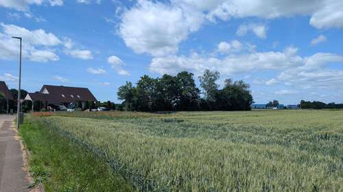 Foto - Grundstück zu verkaufen in Baar-Ebenhausen 286.000,00 € 732 m²