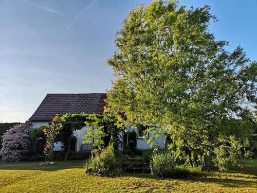 Foto - Haus zum Kaufen in Hoppegarten 520.000,00 € 70 m²