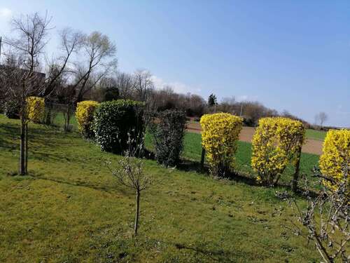 Foto - Grundstück zu verkaufen in Ditzingen 39.900,00 € 1400 m²