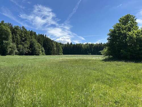 Foto - Grundstück zu verkaufen in Siegsdorf Hammer 717.500,00 € 1435 m²
