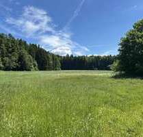 Grundstück zu verkaufen in Siegsdorf Hammer 717.500,00 € 1435 m² - Siegsdorf / Hammer