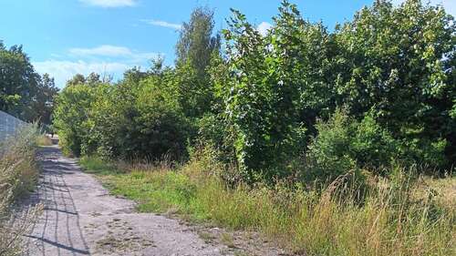 Foto - Grundstück zu verkaufen in Saalfeld 71.500,00 € 2489 m²