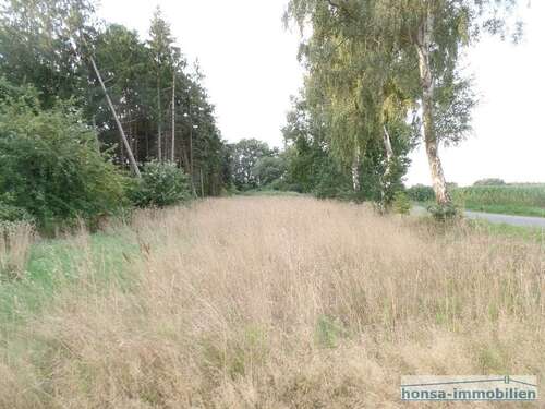 Foto - Grundstück in Wohnste 16.500,00 € 852 m²