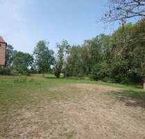 Grundstück zu verkaufen in Könnern 64.000,00 € 800 m²