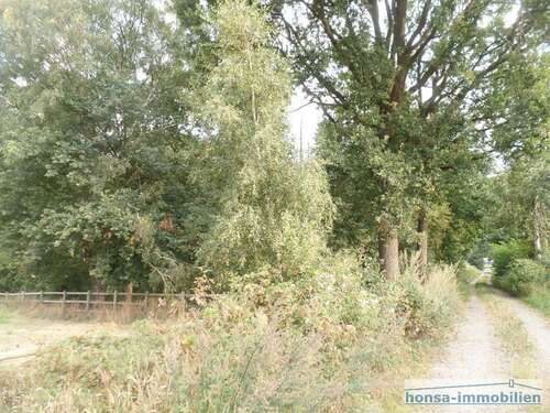 Foto - Grundstück in Wohnste 15.000,00 € 6055 m²