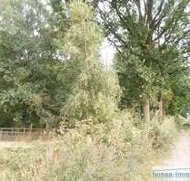 Grundstück in Wohnste 15.000,00 € 6055 m²