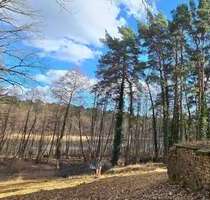 Grundstück zu verkaufen in Wandlitz 479.000,00 € 1527 m²