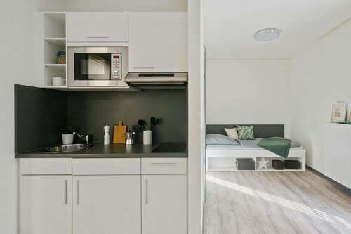 Foto - Wohnen auf Zeit in Dresden 619,00 €