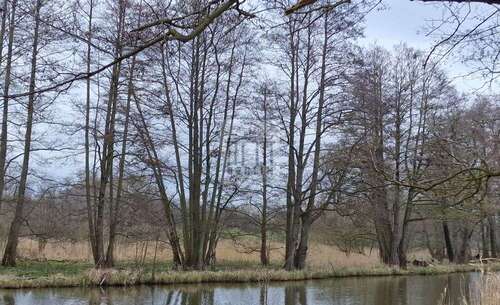 Foto - Grundstück zu verkaufen in Lehde 15.000,00 € 6010 m²