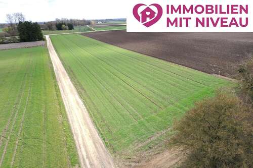 Foto - Grundstück in Wittislingen 115.000,00 € 11912 m²