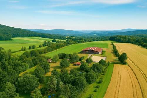 Foto - Spezialgewerbe in Deidesheim 670.000,00 € 1000 m²