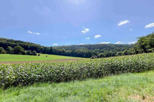 Foto - Haus zum Kaufen in Berg bei Neumarkt in der Oberpfalz 149.999,00 € 66 m²