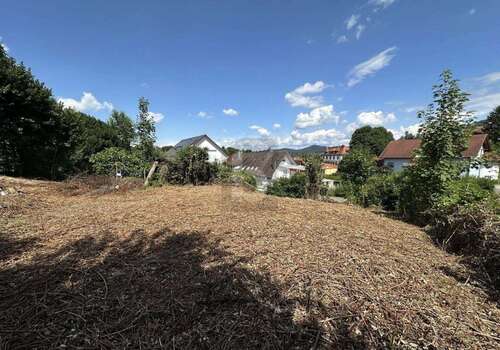 Foto - Grundstück zu verkaufen in Friesenheim 339.600,00 € 999 m²