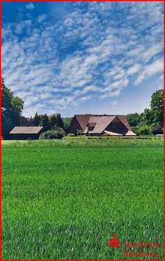 Foto - Haus zum Kaufen in Raddestorf 472.000,00 € 280 m²