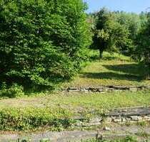 Grundstück zu verkaufen in Horb am Neckar 260.000,00 € 1016 m²