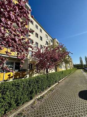 Foto - Wohnung zum Kaufen in Dresden 125.000,00 € 50.52 m²