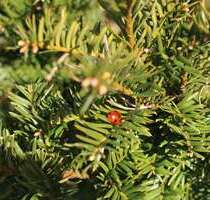 Haus zum Kaufen in Altlandsberg 595.000,00 € 216 m²