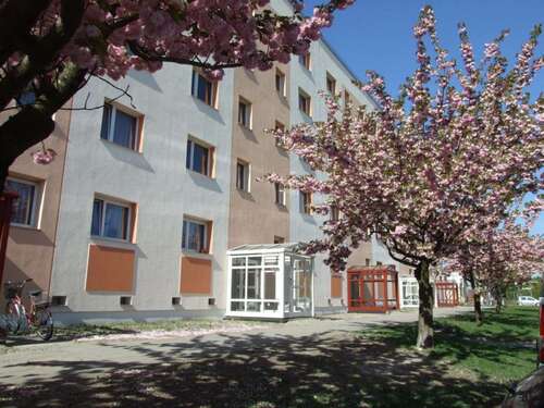 Foto - Wohnung zum Mieten in Weißwasser 429,00 € 60.02 m²