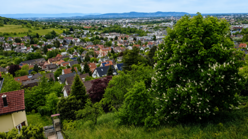 Foto - Grundstück zu verkaufen in Merzhausen 1.000.000,00 € 770 m²