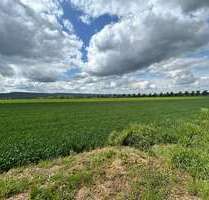 Grundstück zu verkaufen in Holtensen 180.000,00 € 1700 m²