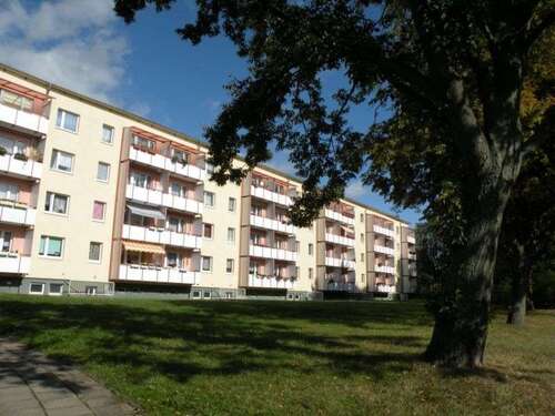 Foto - Wohnung zum Mieten in Stralsund 428,68 € 61.24 m²