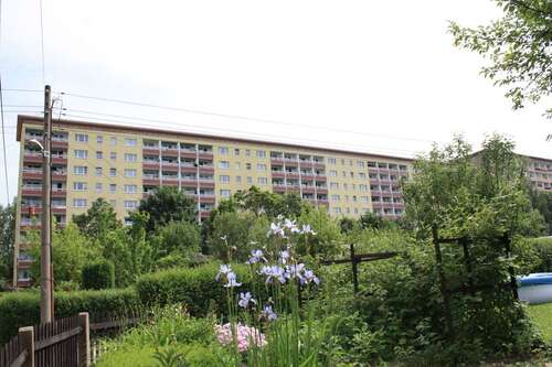 Foto - Wohnung zum Mieten in Chemnitz 252,00 € 44.93 m²