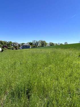 Foto - Grundstück zu verkaufen in Lautertal 93.500,00 € 550 m²