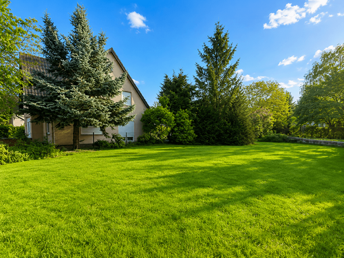 Foto - Grundstück zu verkaufen in Trebbin 389.000,00 € 984 m²